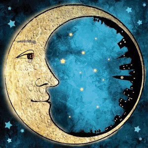 Moon in the Houses
