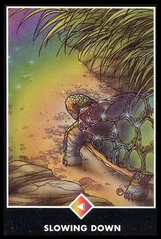 Osho Zen Tarot: SLOWING DOWN
