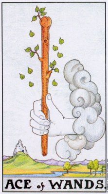 Tarot card ACE OF WANDS